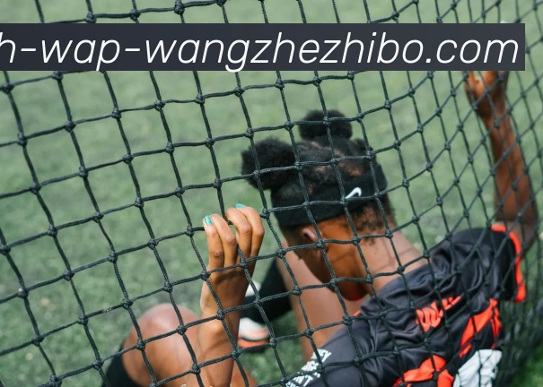 王者体育APP 体育赛事宣传图